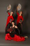 Латинские танцы, фламенко Испания.